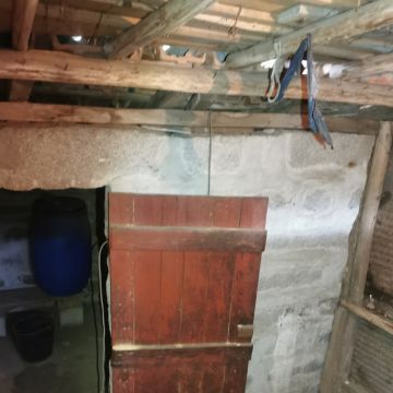 Miguel - Maia - Limpeza de Terrenos