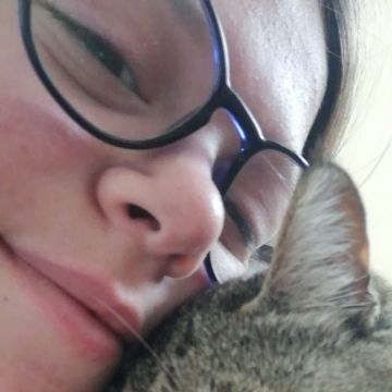 Sara petsitting - Abrantes - Cuidar tus gatos