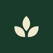 Rodrigo Lang - Braga - Acupuncture