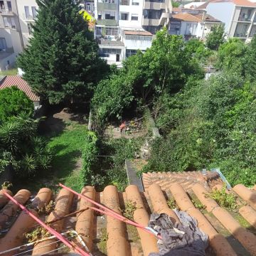 Miguel - Maia - Lawncare