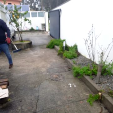 Miguel - Maia - Multi Service Lawn Care