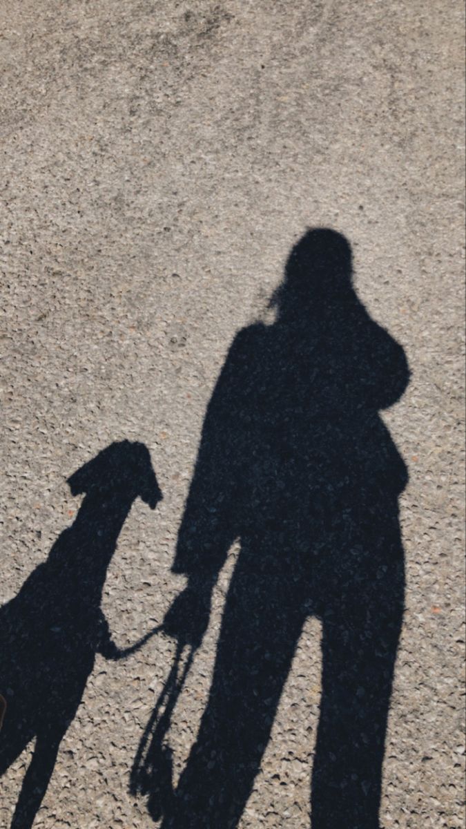 Catarina Lages - Loures - Pet Sitting