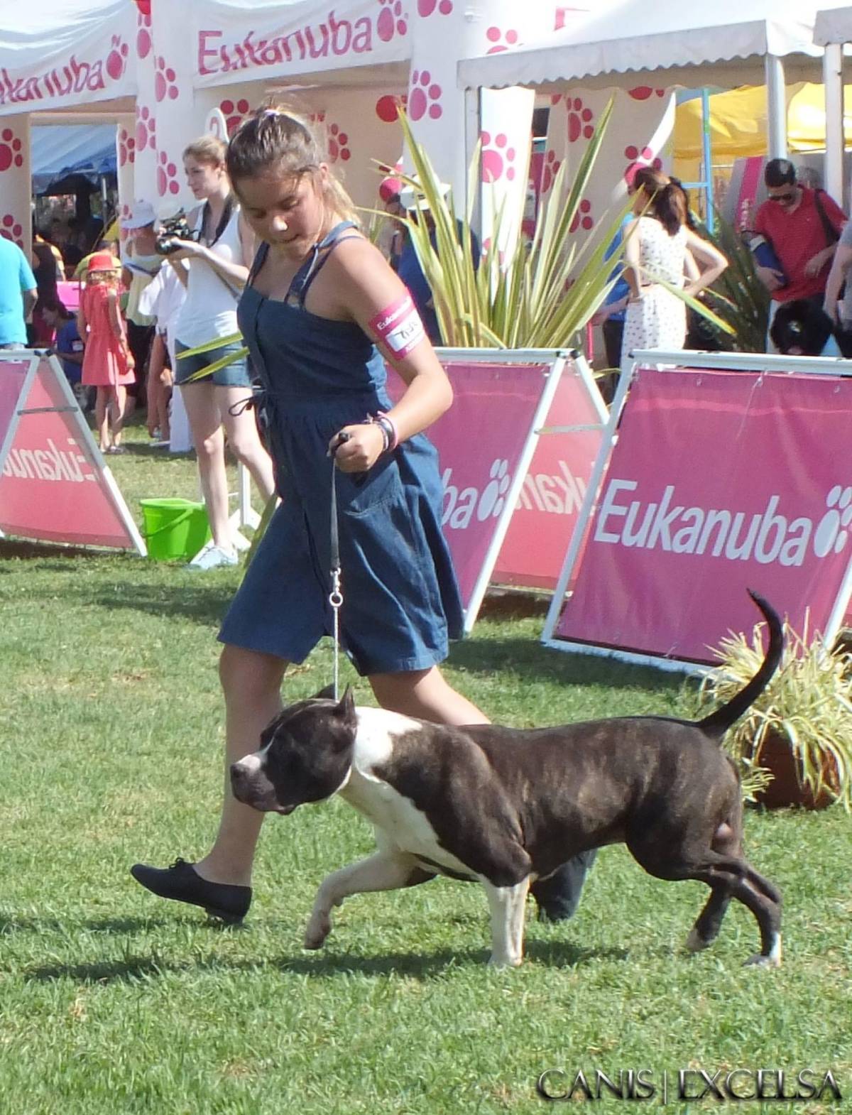 Júlia Matias - Lisboa - Cuidado de mascotas