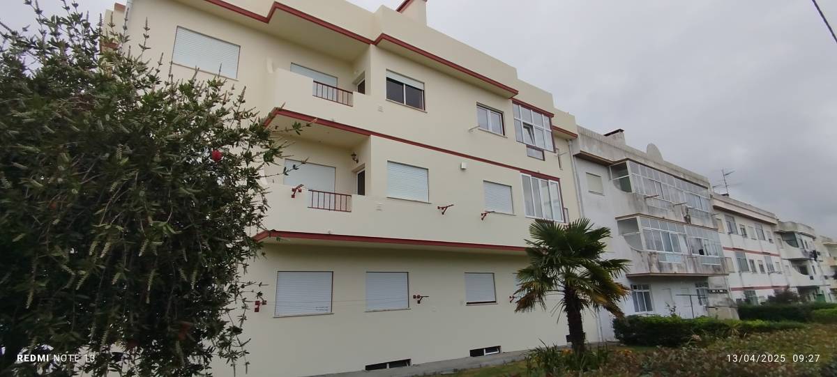 Eduardo Luiz Decorações interiores - Batalha - Remoção de Lixo e Entulho