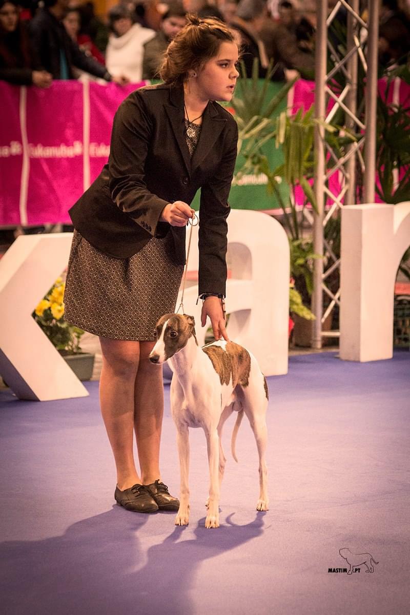 Júlia Matias - Lisboa - Entrenamiento de animales y modificación de la conducta (no caninos)