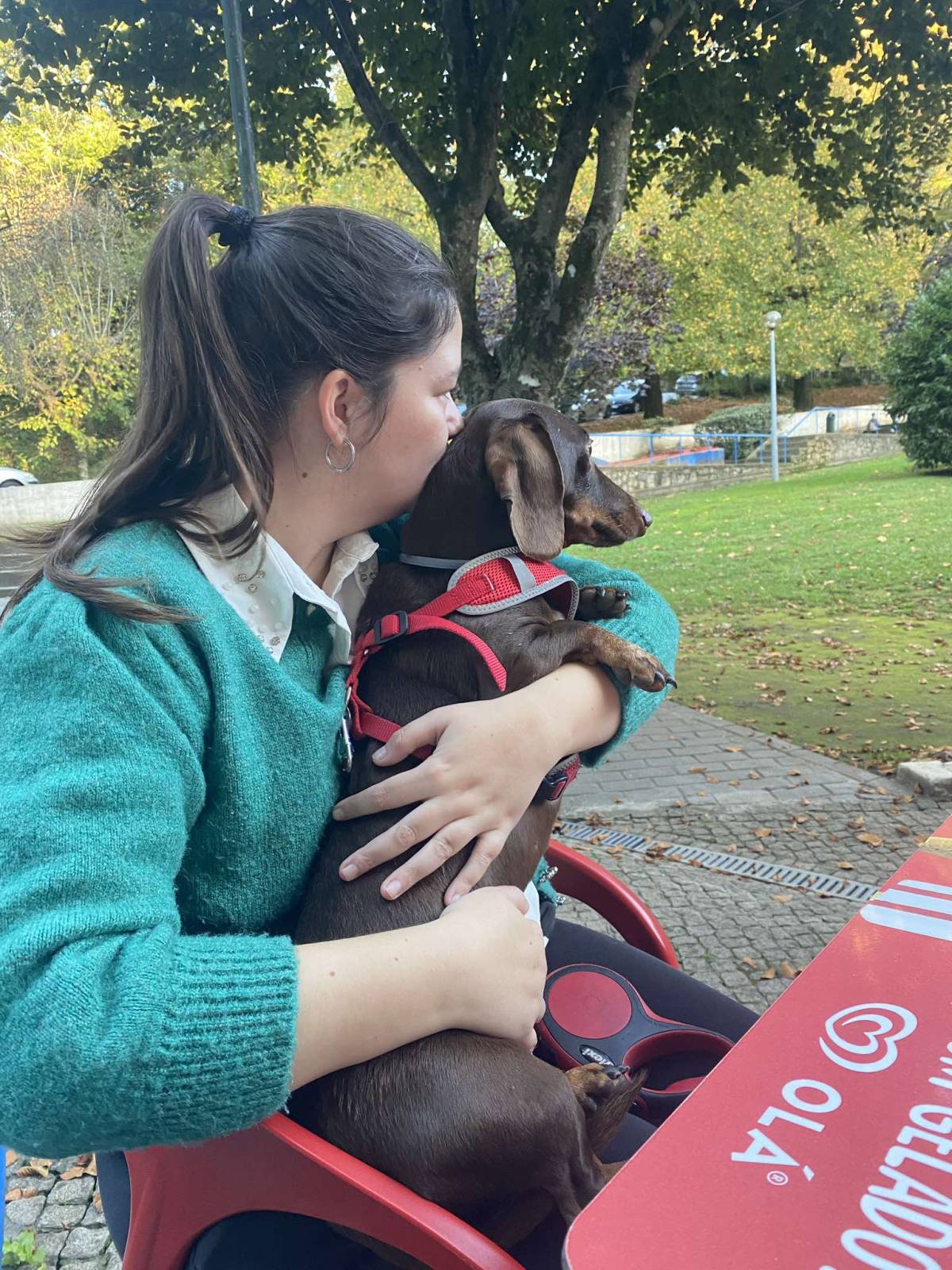 Daniela Petsitter - Ovar - Garde de chiens