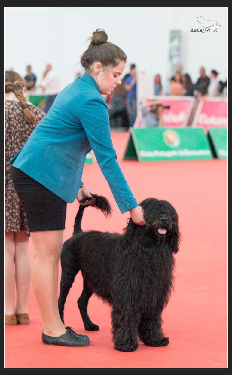 Júlia Matias - Lisboa - Entrenamiento de animales