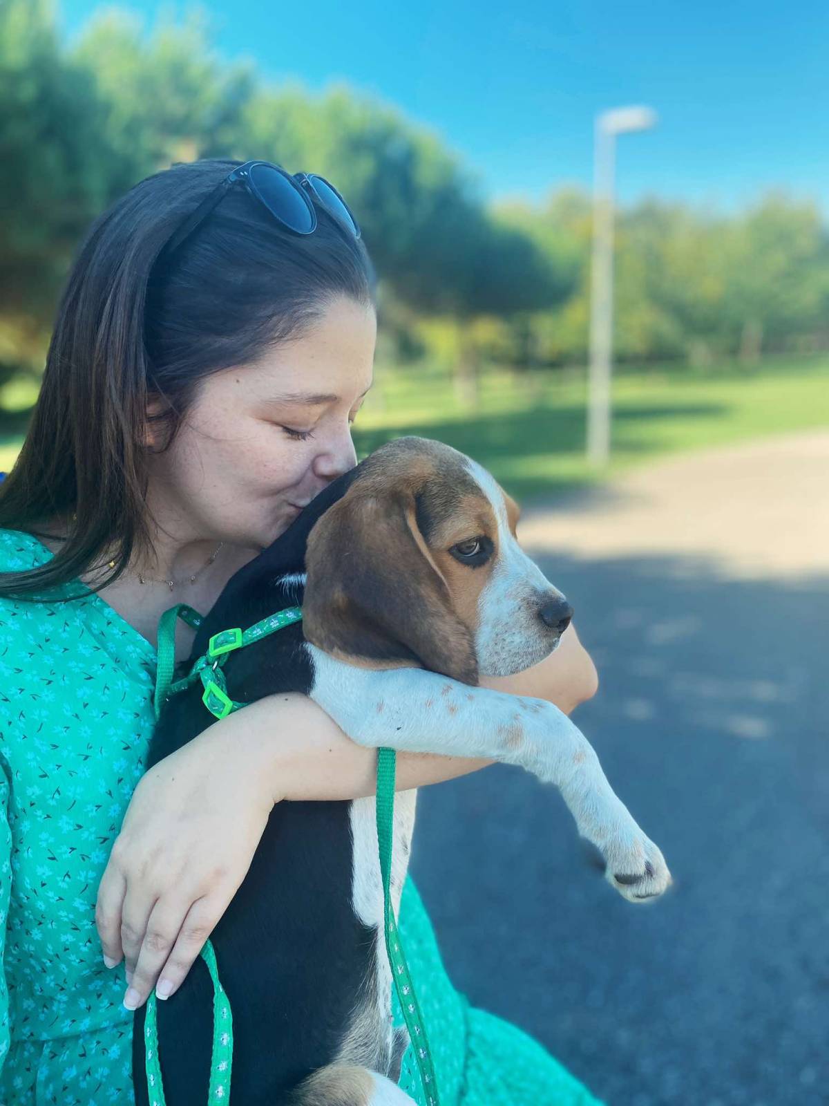 Daniela Petsitter - Ovar - Dog Sitting