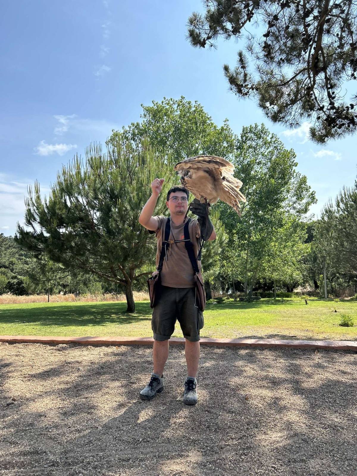 Rodrigo Costa - Santarém - Dog Walking