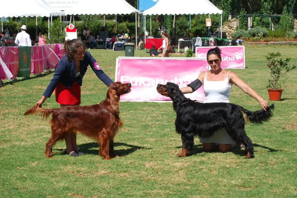 Júlia Matias - Lisboa - Cuidado y peluquería para mascotas
