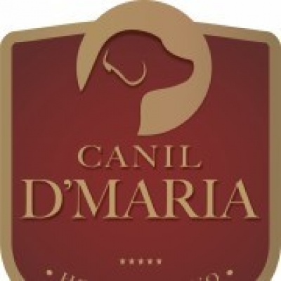 Canil D' Maria - Ovar - Serviços Variados