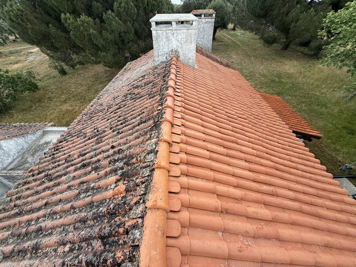 Vailante Obras - Évora - Treppe und Treppenhaus bauen oder umgestalten