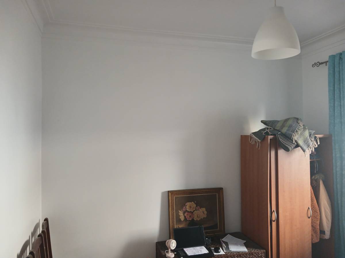 R&S Construções - Amadora - Poda e Manutenção de Árvores