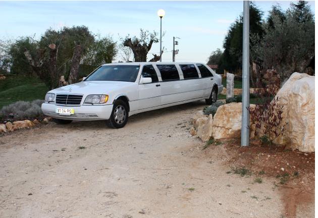 RLimousine - Leiria - Conductor