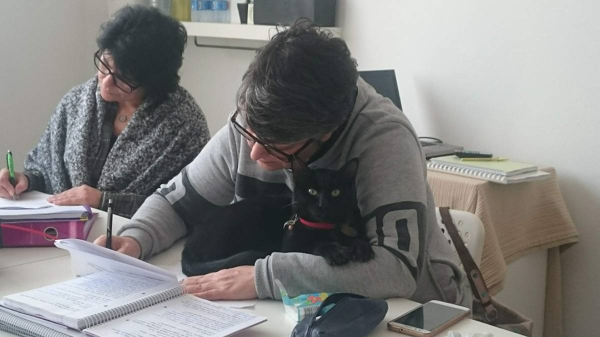 Marta Patacas - Sintra - Medicina alternativa