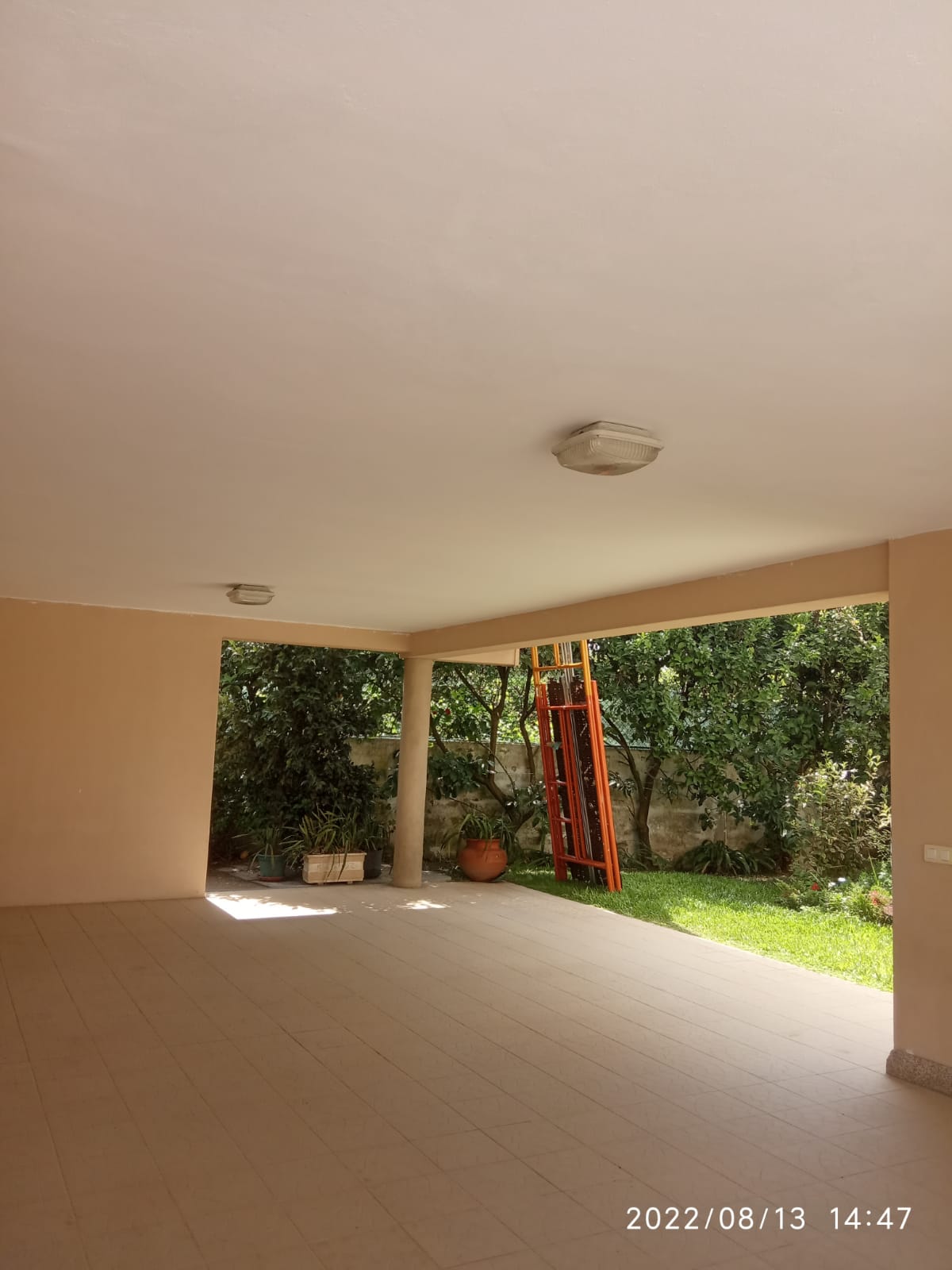 Amaro Oliveira - Barcelos - Peinture