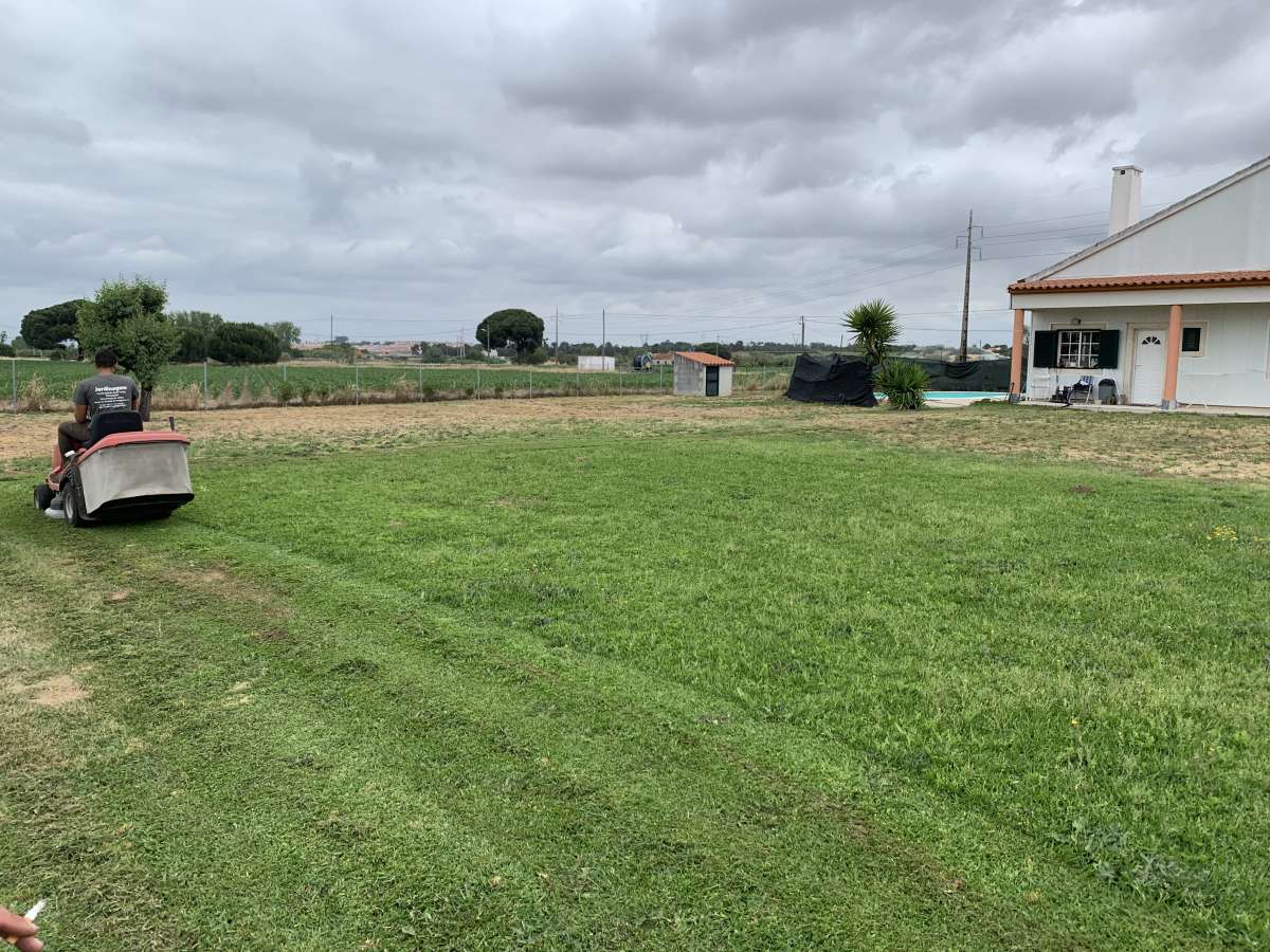MR Work - Montijo - Roof Cleaning