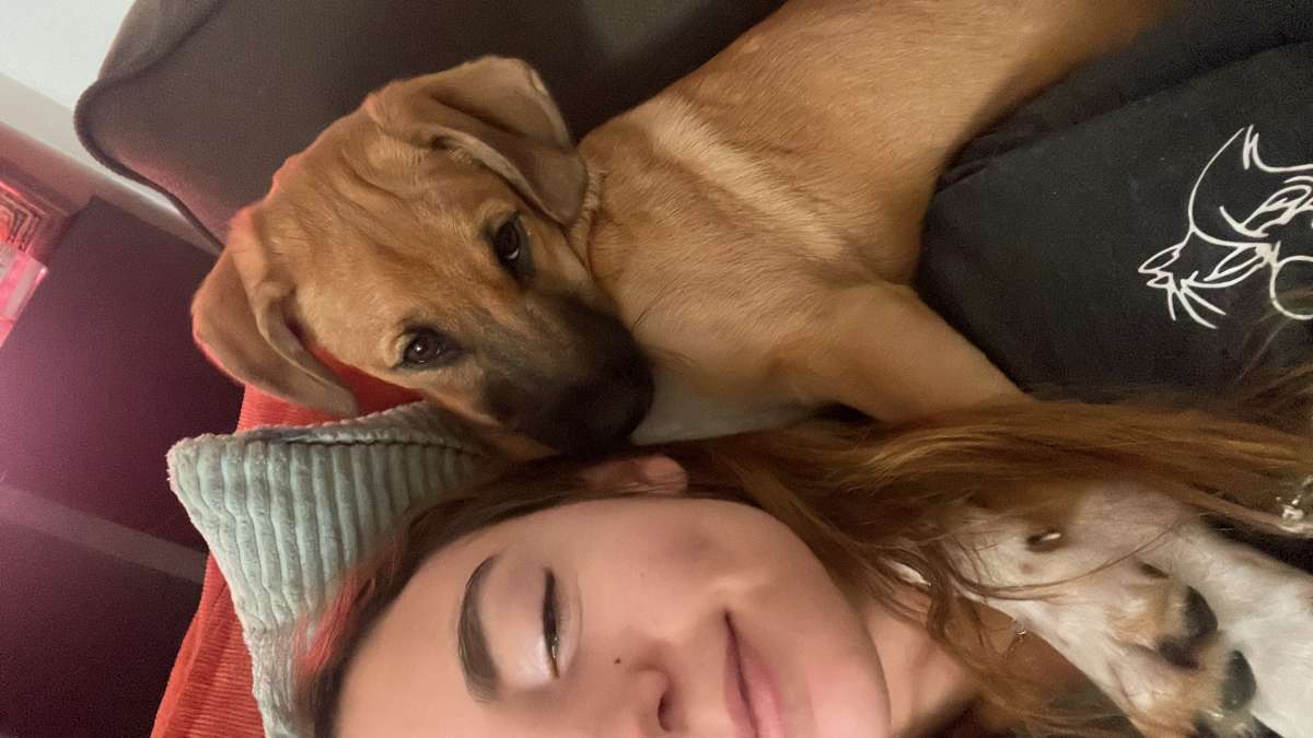 Matilde da Silva - Almada - Dog Hotel