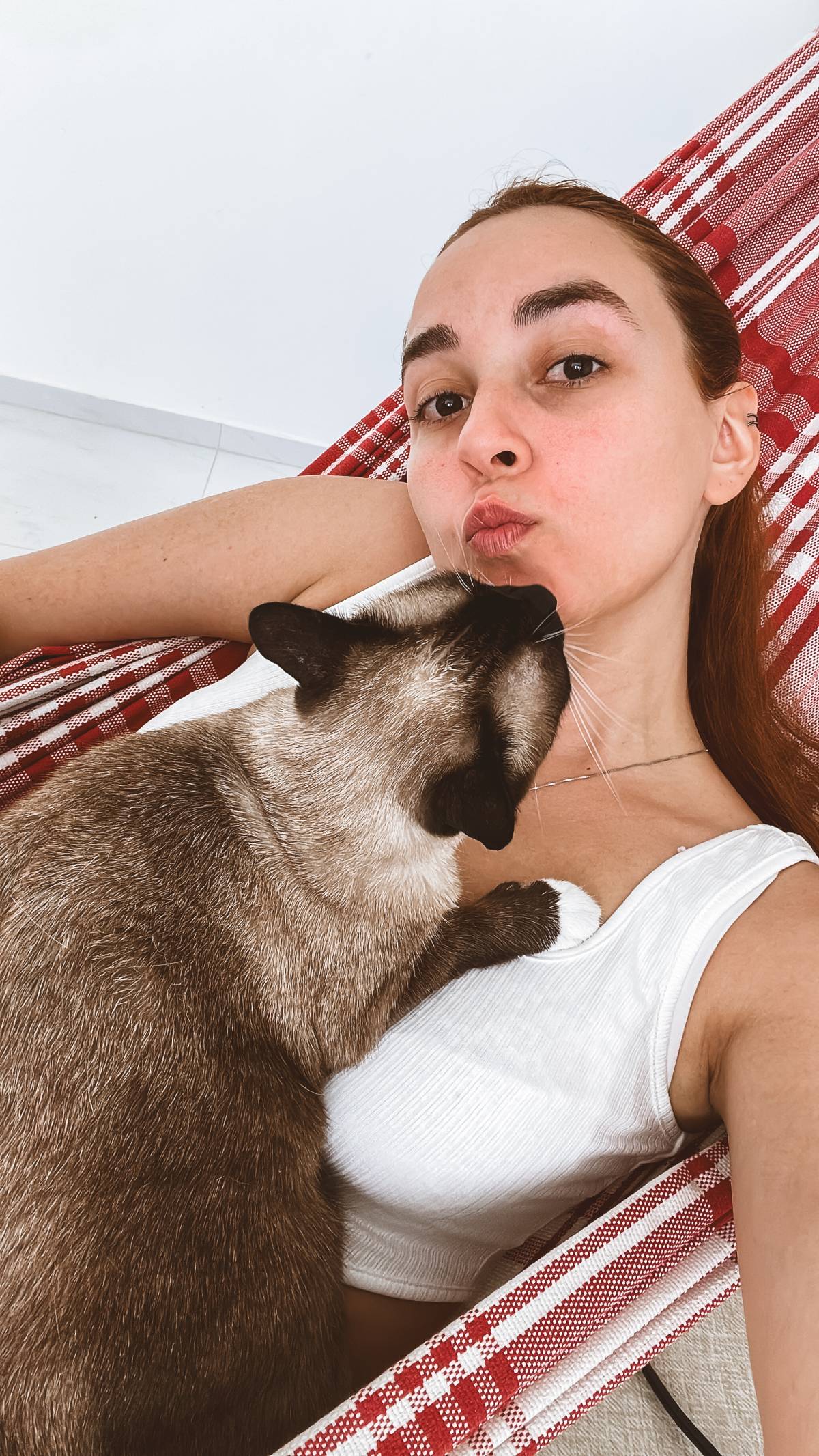 THE CAT SITTING - Vila Nova de Gaia - Cat Sitting