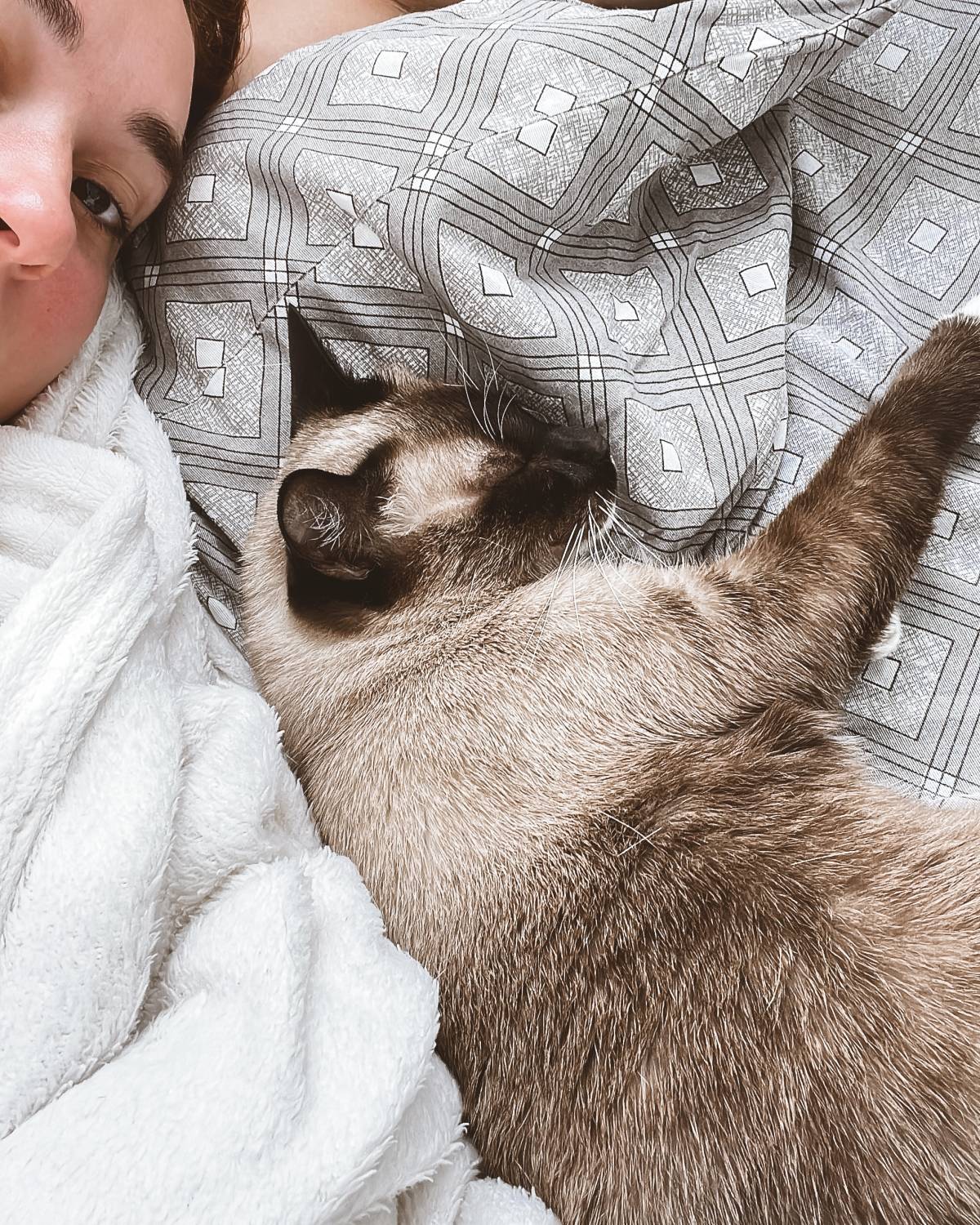 THE CAT SITTING - Vila Nova de Gaia - Cat Sitting
