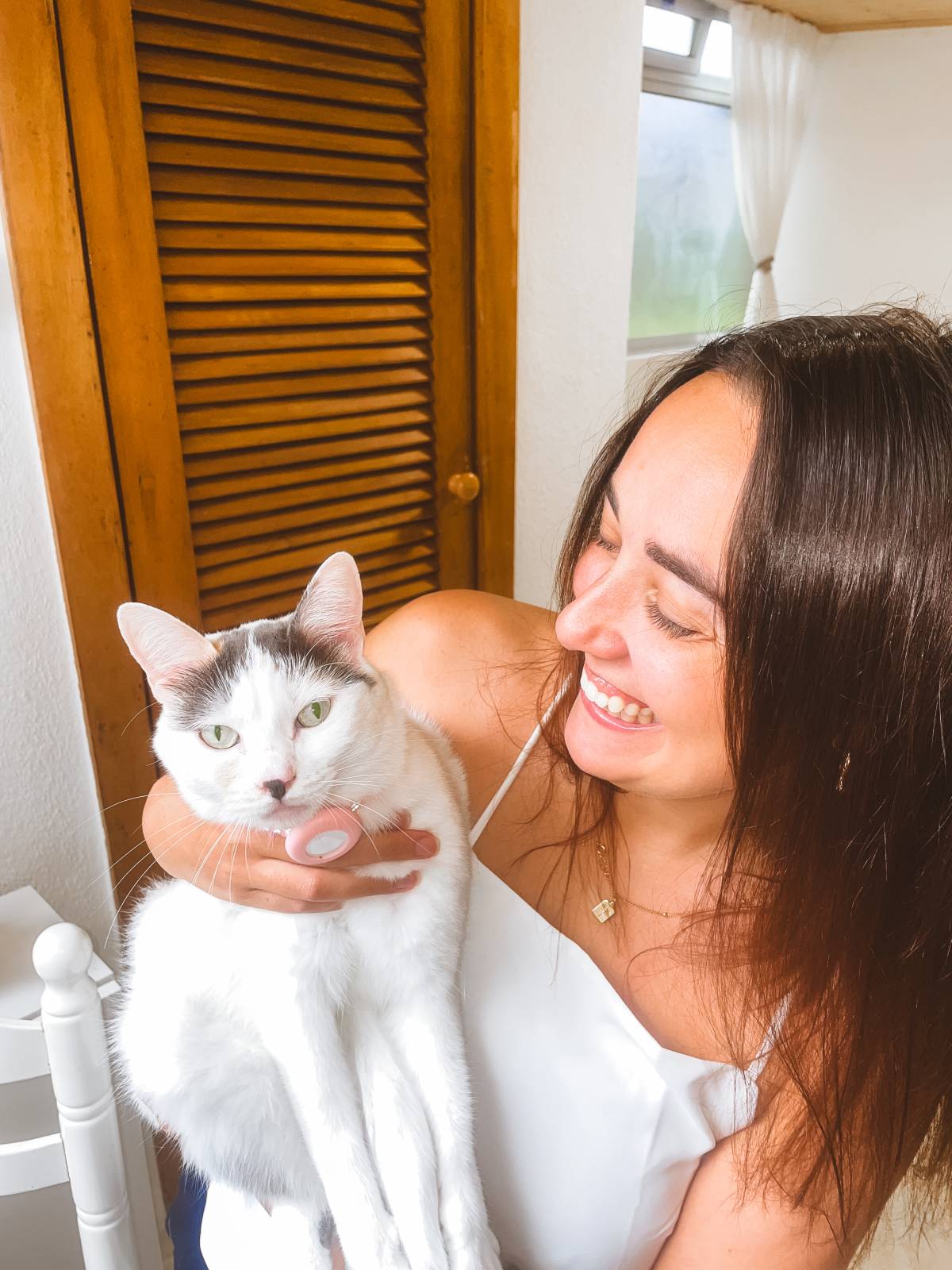 THE CAT SITTING - Vila Nova de Gaia - Pet Sitting and Walking