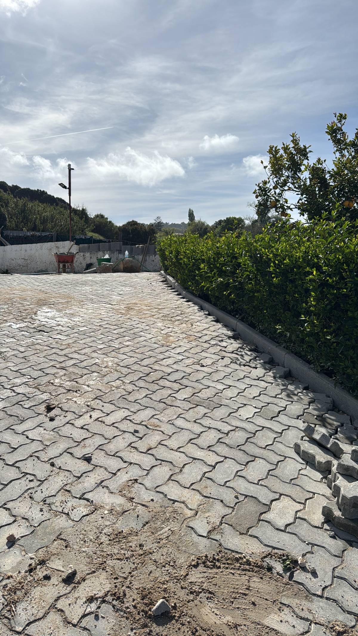 Elielton Henrique - Sintra - Servicios de parrilla y barbacoa