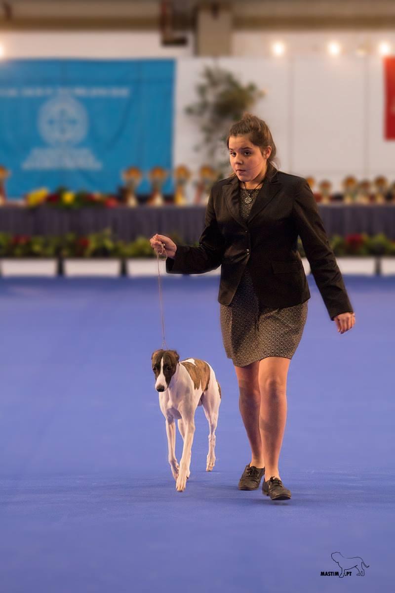Júlia Matias - Lisboa - Adiestramiento de perros - Clases privadas
