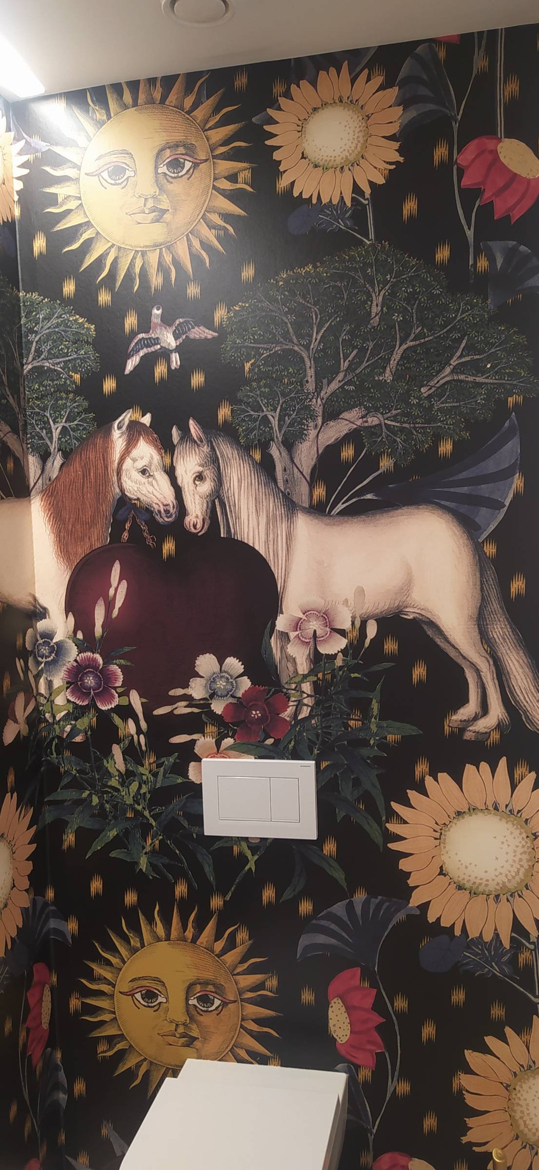 Trilhos de Decoração - Silves - Instalación de papel pintado