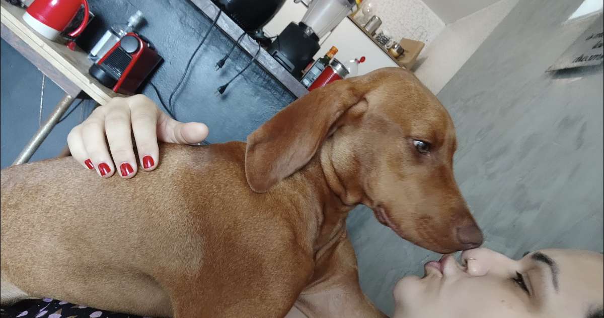 MONIK NEVES PAIVA - Maia - Dog Hotel