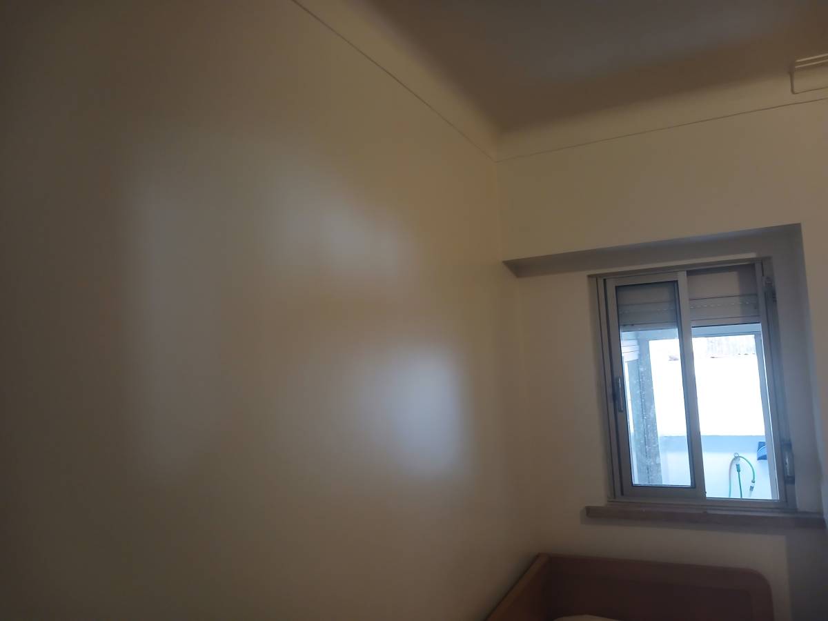 R&S Construções - Amadora - Remoção de Arbustos