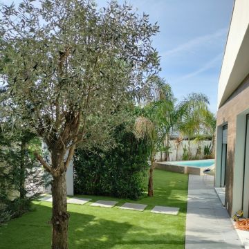 Jardineiros do Bairro - Lisboa - Shrub Removal