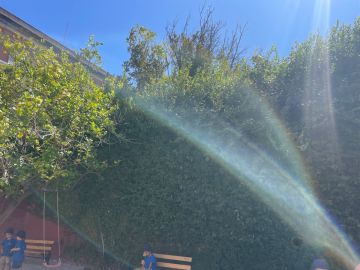 Serviço de Jardinagem