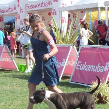 Cuidados para Animais de Estimação - Júlia Matias - Lisboa