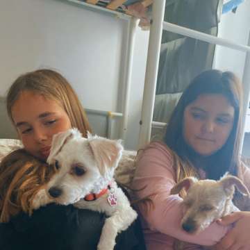Pet go - Vila Nova de Gaia - Hotel para Cães
