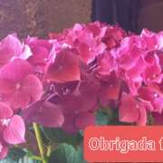 Maria Silva - Marinha Grande - Deep or Spring Cleaning