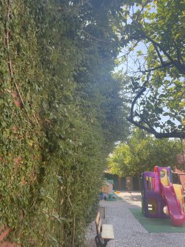 Serviço de Jardinagem - Casa