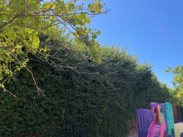 Jardinagem
