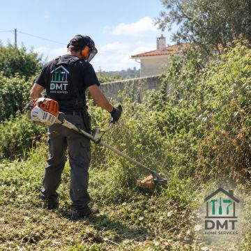 DMT HOME SERVICES - Vila do Conde - Remoção de Tronco de Árvore