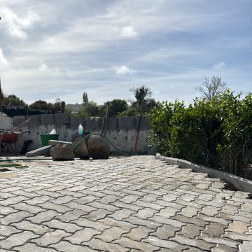Elielton Henrique - Sintra - Ventrílocuo