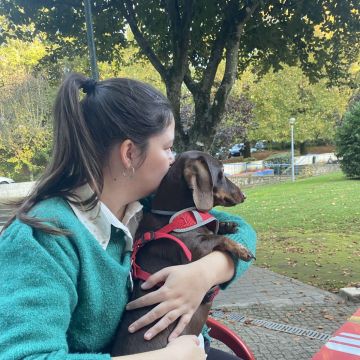 Daniela Petsitter - Ovar - Garde de chiens