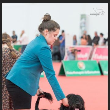 Júlia Matias - Lisboa - Entrenamiento de animales