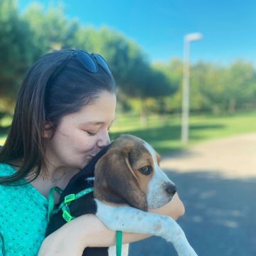 Daniela Petsitter - Ovar - Dog Sitting