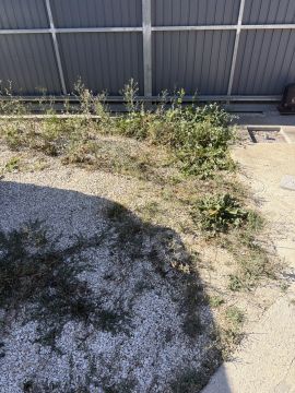 Lawncare