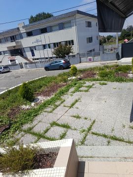 Serviço de Jardinagem