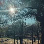 Ricardo Azevedo - Lisboa - Personal Training