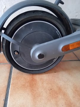 Spezialist für Scooter