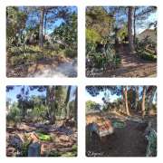 MR Work - Montijo - Tree Trimming and Maintenance