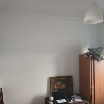 R&S Construções - Amadora - Poda e Manutenção de Árvores