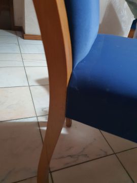 Furniture Repair Professional