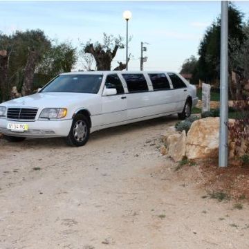 RLimousine - Leiria - Conductor